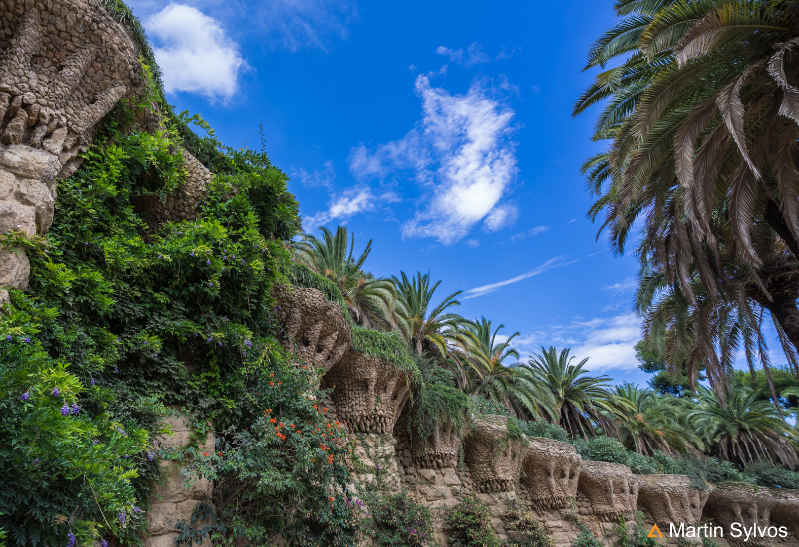 Barcelone   Martin sylvos 3